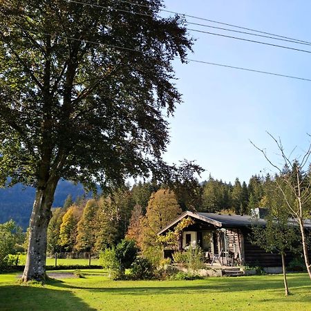 Chalet Scheffsnoth Lofer Exterior foto