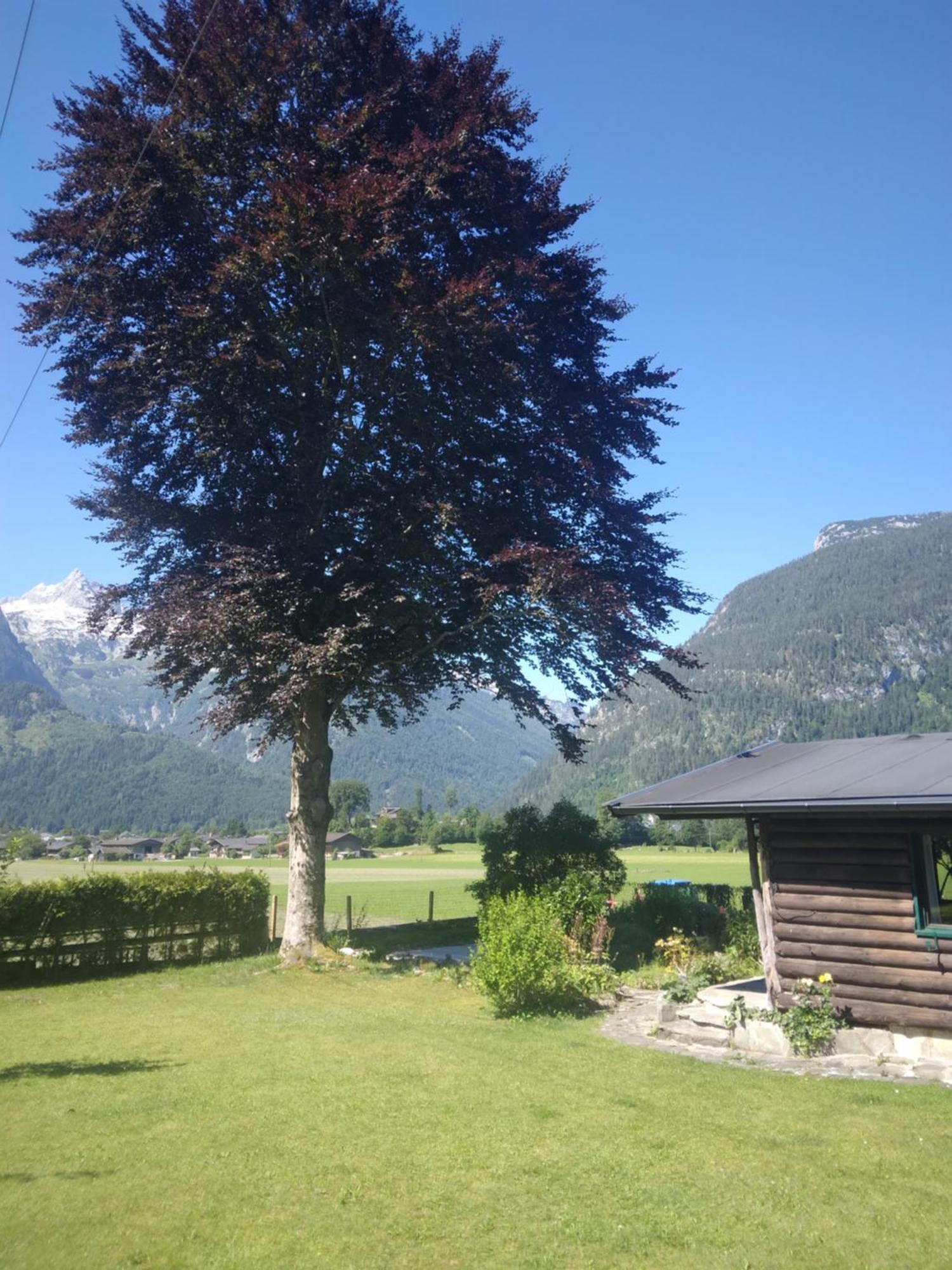 Chalet Scheffsnoth Lofer Exterior foto