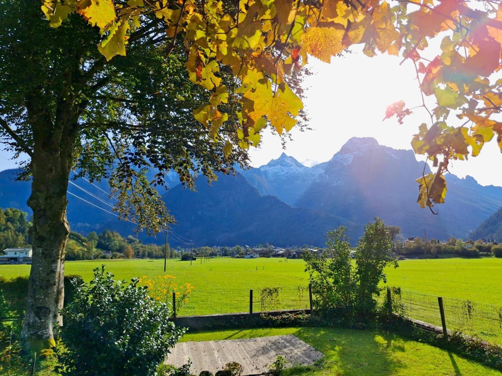 Chalet Scheffsnoth Lofer Exterior foto